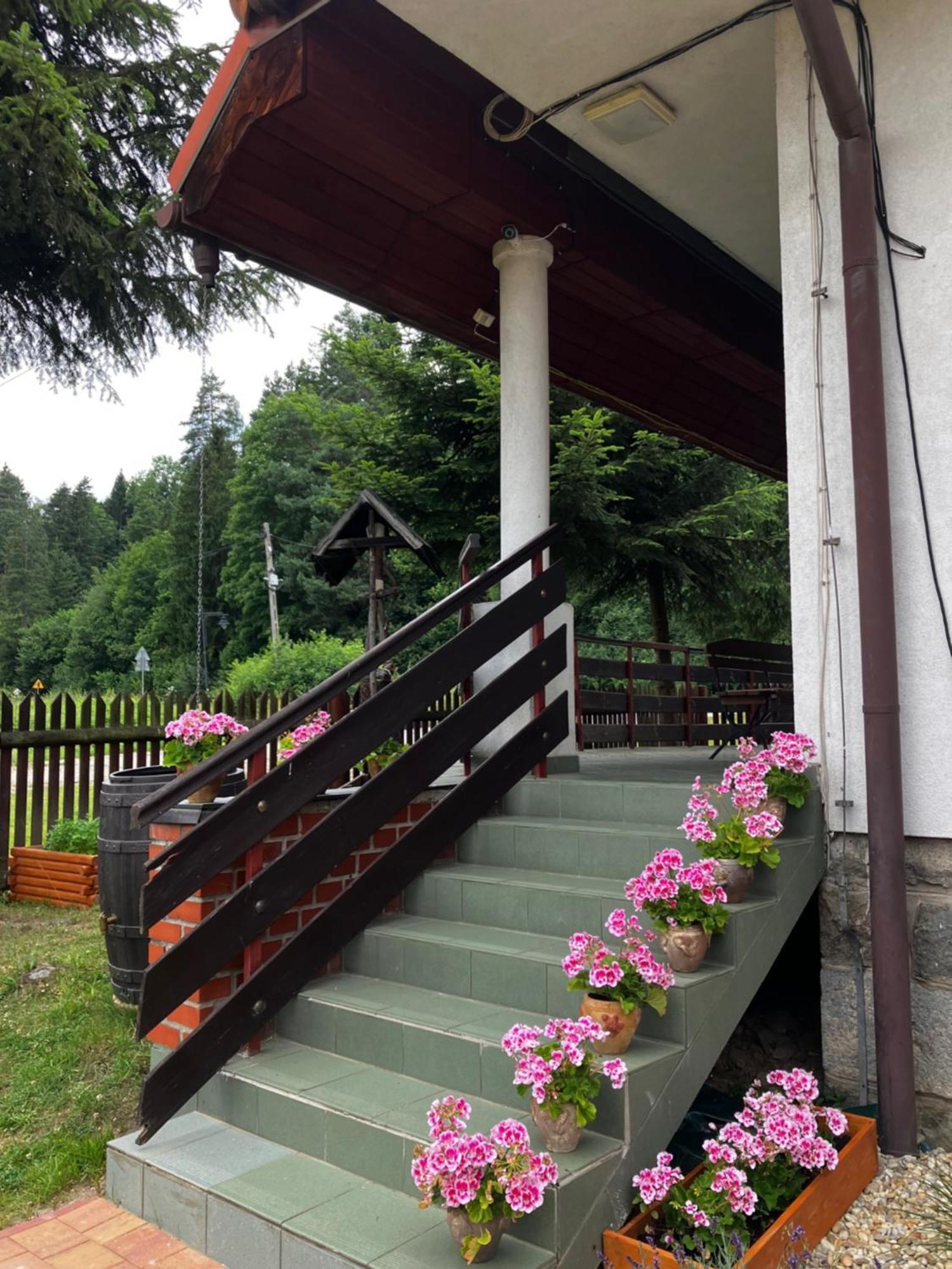 Base Camp Pieniny Hotel Niedzica Exterior photo